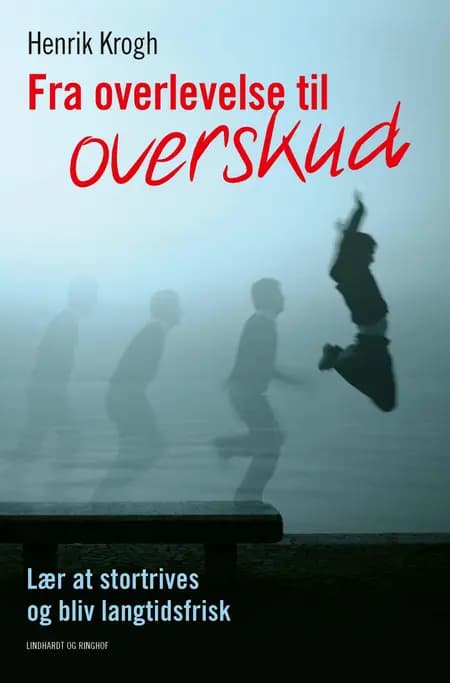 Fra overlevelse til overskud af Henrik Krogh