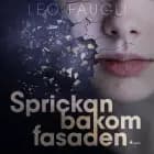 Sprickan bakom fasaden af Leo Faugli