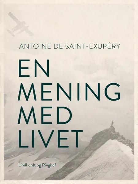 En mening med livet af Antoine de Saint-Exupéry