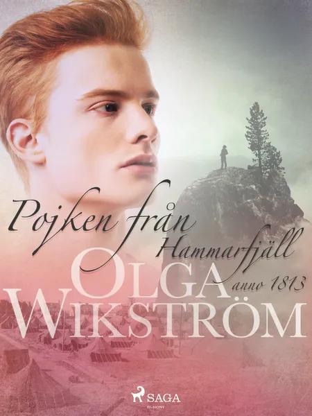 Pojken från Hammarfjäll : anno 1813 af Olga Wikström