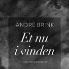 Et nu i vinden af André Brink