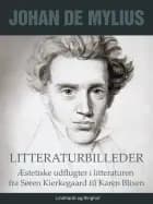 Litteraturbilleder: Æstetiske udflugter i litteraturen fra Søren Kierkegaard til Karen Blixen af Johan de Mylius