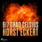 617 Grad Celsius af Horst Eckert