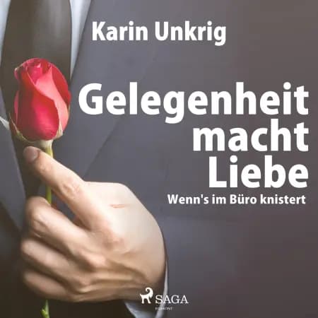 Gelegenheit macht Liebe - Wenn s im Büro knistert af Karin Unkrig