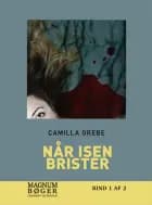 Når isen brister af Camilla Grebe