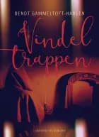 Vindeltrappen af Bendt Gammeltoft Hansen