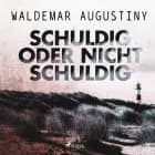 Schuldig oder nicht schuldig af Waldemar Augustiny