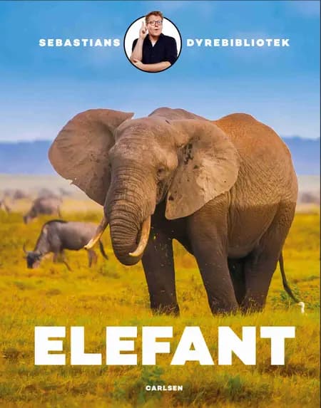 Sebastians dyrebibliotek: Elefant af Sebastian Klein