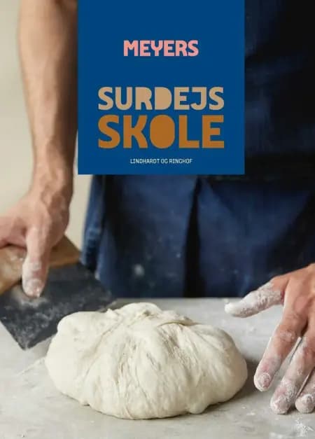 Meyers Surdejsskole af Meyers Madhus