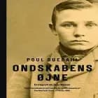 Ondskabens øjne af Poul Duedahl