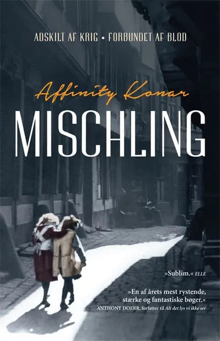 Mischling af Affinity Konar