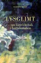 Lysglimt af Elisabeth Arendt