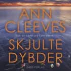 Skjulte dybder af Ann Cleeves