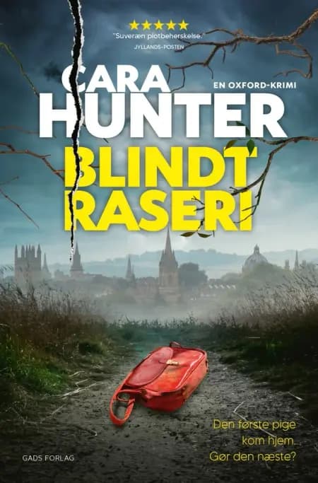Blindt raseri af Cara Hunter
