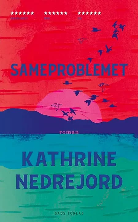 Sameproblemet af Kathrine Nedrejord