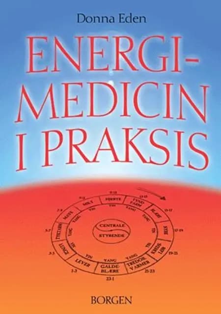 Energimedicin i praksis af Donna Eden