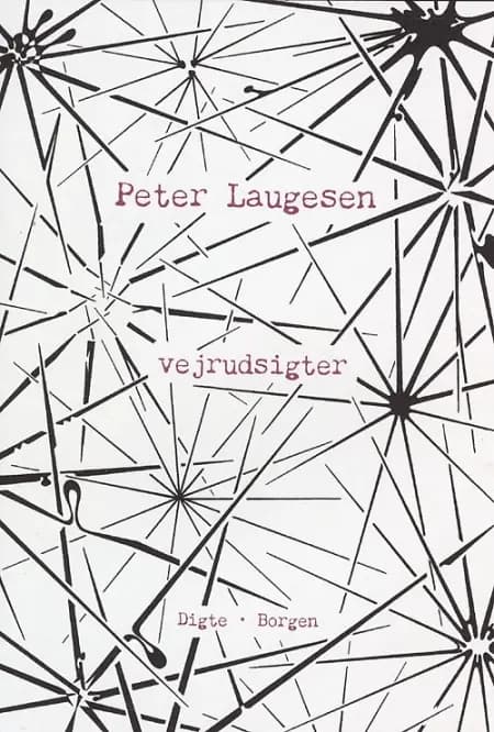 Vejrudsigter af Peter Laugesen