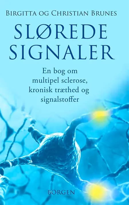 Slørede signaler af Birgitta Brunes