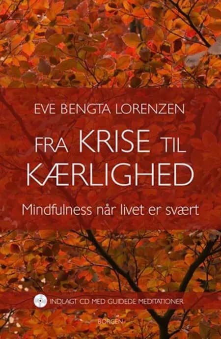 Fra krise til kærlighed af Eve Bengta Lorenzen