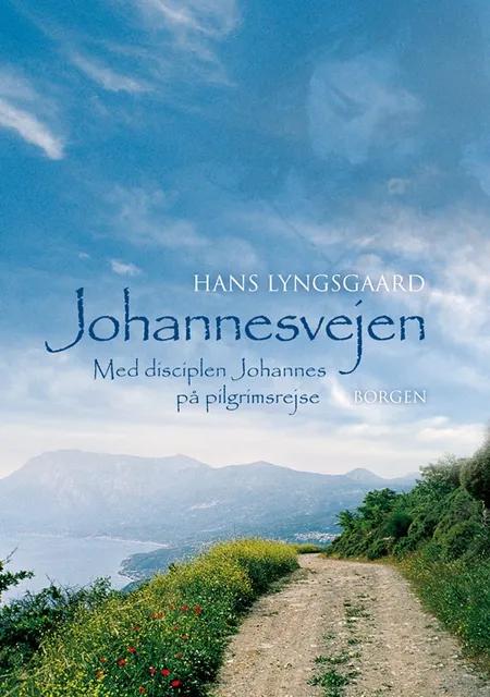 Johannesvejen af Hans Lyngsgaard