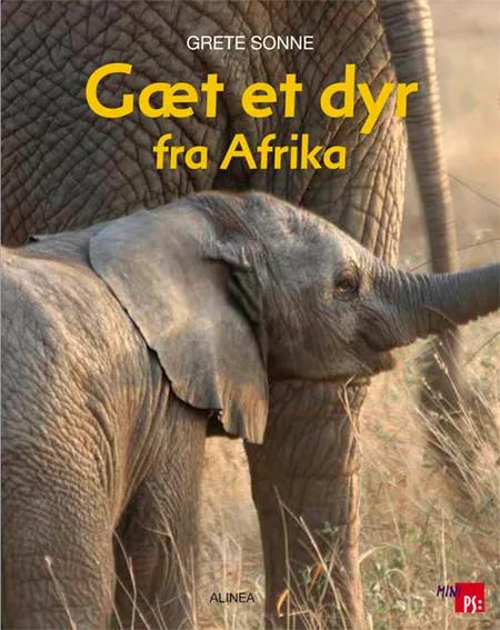 Gæt et dyr fra Afrika af Grete Sonne