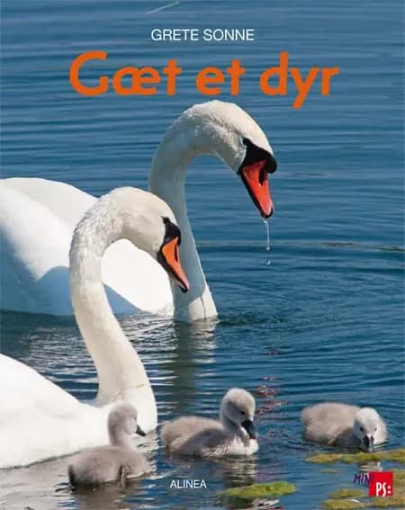 Gæt et dyr af Grete Sonne