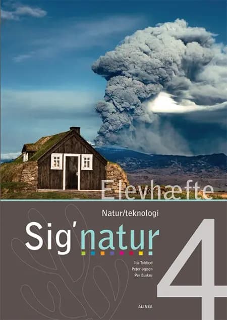 Sig´natur 4 af Ida Toldbod