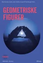 Turbo, Geometriske figurer af Trine Borgen Holm, Julie Hardbo Larsen og Stine Dunkan Gents