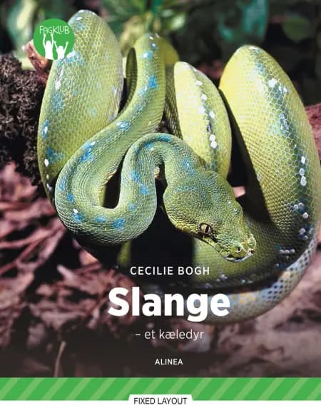 Slanger - et kæledyr, Grøn Fagklub af Cecilie Bogh