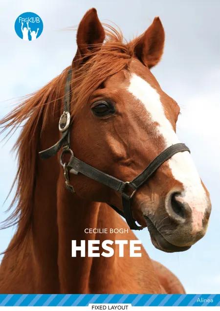 Heste, Blå Fagklub af Cecilie Bogh