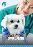 Dyrlæge, Blå Fagklub af Hanne Korvig