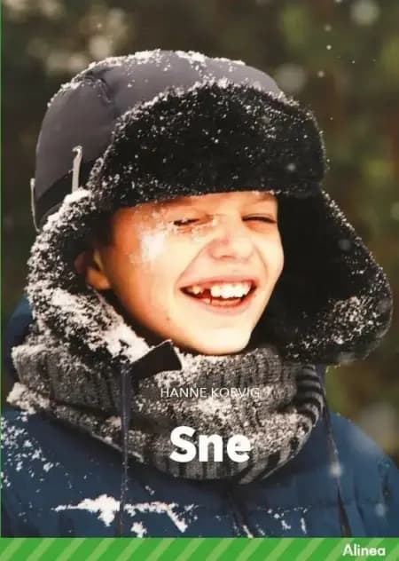 Sne, Grøn Fagklub af Hanne Korvig