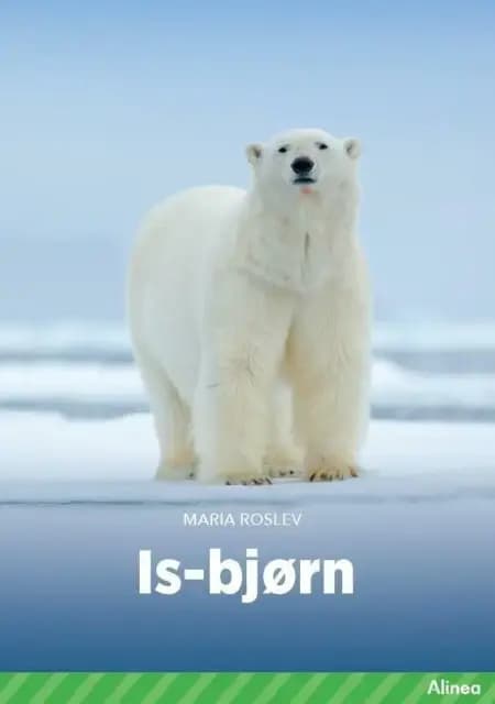 Isbjørn, Grøn Fagklub af Maria Roslev