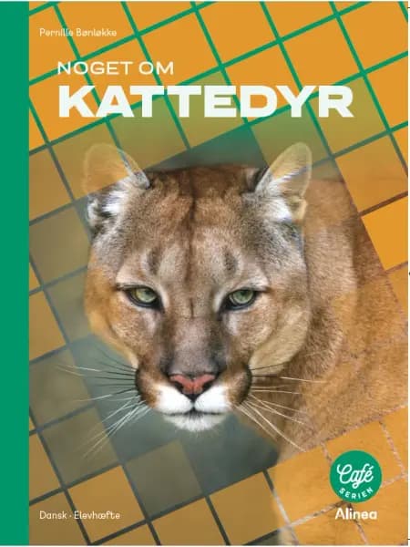 Noget om kattedyr, Grønt niveau af Pernille Bønløkke