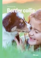 Border collie, Grøn Fagklub af Hanne Korvig