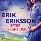 Efter regntiden af Erik Eriksson