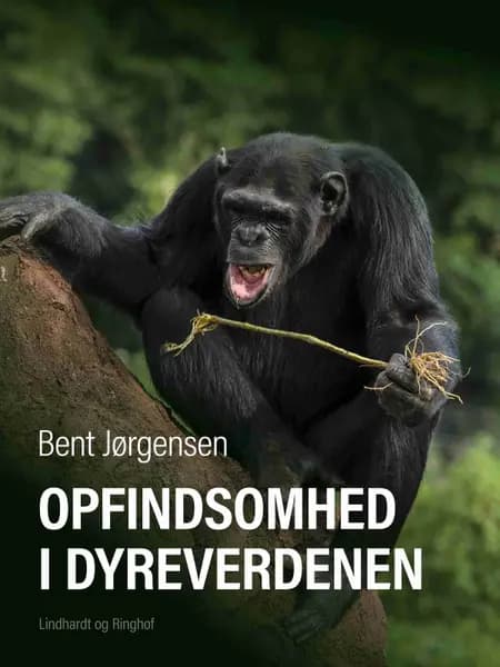 Opfindsomhed i dyreverdenen af Bent Jørgensen