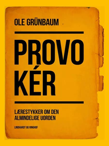 Provokér: Lærestykker om den almindelige uorden af Ole Grünbaum