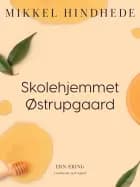 Skolehjemmet Østrupgaard af Mikkel Hindhede