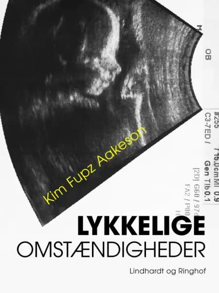 Lykkelige omstændigheder af Kim Fupz Aakeson