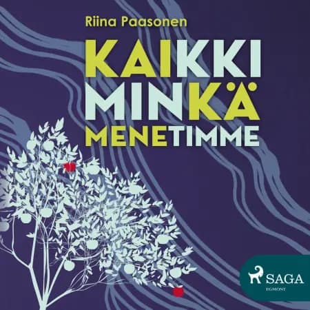 Kaikki minkä menetimme af Riina Paasonen