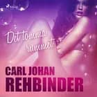 Det tomma rummet af Carl Johan Rehbinder