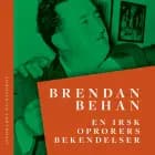 En irsk oprørers bekendelser af Brendan Behan