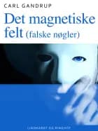 Det magnetiske felt (falske nøgler) af Carl Gandrup