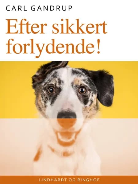 Efter sikkert forlydende! af Carl Gandrup