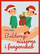Bulderup-nisserne i fangenskab af Torben Nielsen