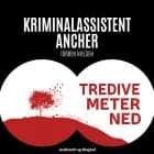 Tredive meter ned af Torben Nielsen