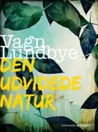 Den udvidede natur af Vagn Lundbye
