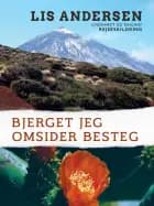 Bjerget jeg omsider besteg af Lis Andersen