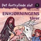 Det fortryllede slot 9: Enhjørningens tårer af Peter Gotthardt